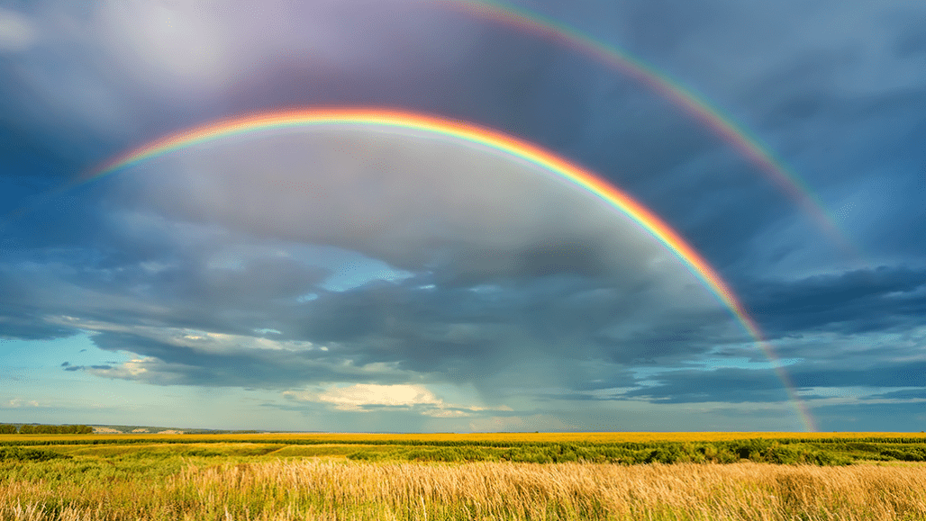 rainbow quotes